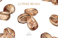 Watercolor roasted coffee beans, png clipart, patterns Product Image 6