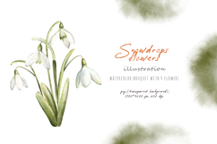 Watercolor snowdrops flowers, beautiful spring illustration Product Image 7