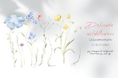 Watercolor simple elegant wildflowers in pastel colors Product Image 7