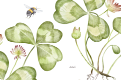 Watercolor wildflower clover and bumblebees. Patrick's day Product Image 7