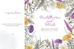 Wildflowers and herbs hand drawn collection. Floral elements Product Image 7