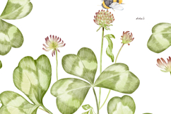 Watercolor wildflower clover and bumblebees. Patrick's day Product Image 8