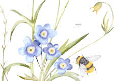 Watercolor simple elegant wildflowers in pastel colors Product Image 8