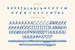 Factual Reality Modern Brush Font Product Image 19