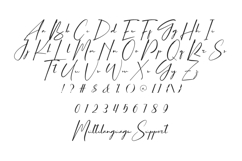 Fadhila Berlin Product Image 3