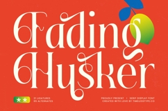 Fading Husker - Serif Display Font Product Image 1