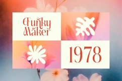 Fading Husker - Serif Display Font Product Image 12