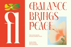 Fading Husker - Serif Display Font Product Image 13