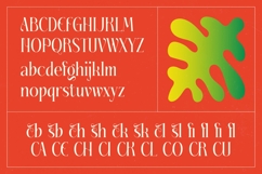 Fading Husker - Serif Display Font Product Image 18