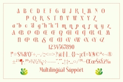Fading Husker - Serif Display Font Product Image 19
