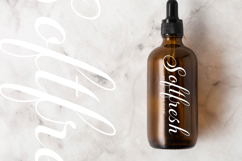 Fagibestin - Elegant Script Font Product Image 7