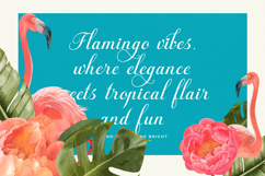 Fagibestin - Elegant Script Font Product Image 11