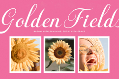 Fagibestin - Elegant Script Font Product Image 15