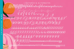 Fagibestin - Elegant Script Font Product Image 18