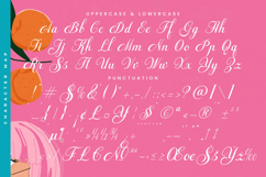 Fagibestin - Elegant Script Font Product Image 19