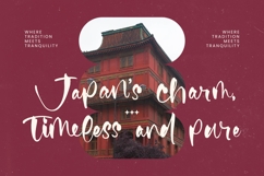 Fainter - Bold Brush Font Product Image 9