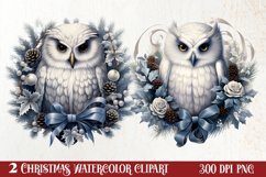 Fairy Christmas Collection Sublimation, Fairy Christmas Clipart, Fairy Christmas Sublimation, Fairy Christmas watercolor, Watercolor Fairy Christmas, Fairy Christmas, Fairy Christmas PNG, Fairy Christmas Watercolor Sublimation, Fairy Christmas Watercolor 
