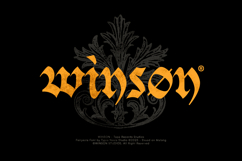 Fairyesta - Medieval Gothic Blackletter Display Font Product Image 7