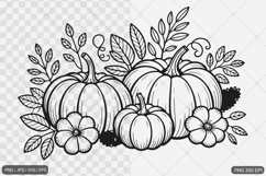Pumpkin Fall Autumn SVG PNG Sublimation Product Image 1