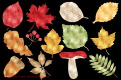 Autumn Leaves Clipart, Autumn Backgrounds, Fall Papers Product Image 2