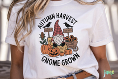 Fall Farmhouse Sign SVG PNG Product Image 2