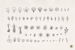 Fall Leaves SVG Bundle, Autumn Clipart PNG, Floral Cut Files Product Image 2