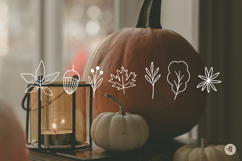 Fall Leaves SVG Bundle, Autumn Clipart PNG, Floral Cut Files Product Image 6