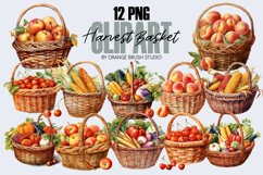 Fall Harvest Clipart Bundle Watercolor Autumn Clipart PNG