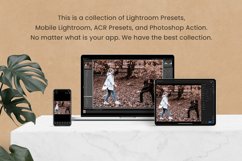 Autumn Vibe Photoshop Actions Lightroom Presets Mobile Product Image 2