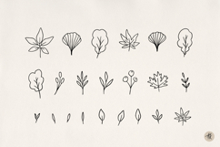 Fall Leaves SVG Bundle, Autumn Clipart PNG, Maple Leaf SVG Product Image 2