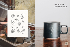 Fall Leaves SVG Bundle, Autumn Clipart PNG, Maple Leaf SVG Product Image 4