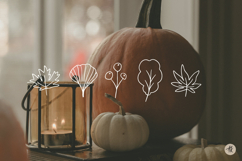 Fall Leaves SVG Bundle, Autumn Clipart PNG, Maple Leaf SVG Product Image 6