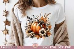 fall sublimation 