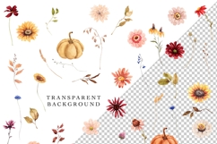 fall wildflowers pumpkins watercolor clipart elements burgundy beige brown orange white png