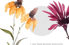 fall wildflowers pumpkins watercolor clipart elements burgundy beige brown orange white png