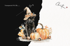 Fall Witch Cat Clipart | Halloween PNG Product Image 2