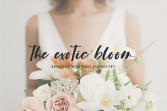 Fallbrook Script Product Image 3