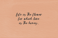 Fallbrook Script Product Image 4