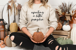 Fallbrook Script Product Image 5