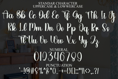 Falling Inlove Product Image 7