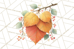 Falling Leaves Clipart PNG Autumn Clip Art, Fall Clipart Png Product Image 3