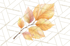 Falling Leaves Clipart PNG Autumn Clip Art, Fall Clipart Png Product Image 2