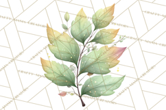 Falling Leaves Clipart PNG Autumn Clip Art, Fall Clipart Png Product Image 5
