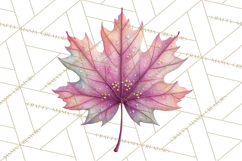 Falling Leaves Clipart PNG Autumn Clip Art, Fall Clipart Png Product Image 4