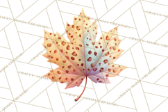 Falling Leaves Clipart PNG Autumn Clip Art, Fall Clipart Png Product Image 2