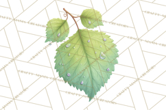 Falling Leaves Clipart PNG Autumn Clip Art, Fall Clipart Png Product Image 4
