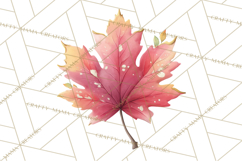 Falling Leaves Clipart PNG Autumn Clip Art, Fall Clipart Png Product Image 3