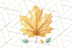 Falling Leaves Clipart PNG Autumn Clip Art, Fall Clipart Png Product Image 2