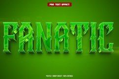 Fanatic 3D editable text effect Product Image 1