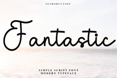 Fantastic Product Image 1